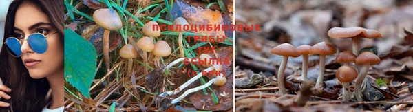 MDMA Рославль